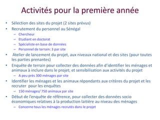 Amélioration de la sécurité alimentaire et nutritionnelle par une meilleure utilisation des races bovines laitières (pures et croisées) au Sénégal