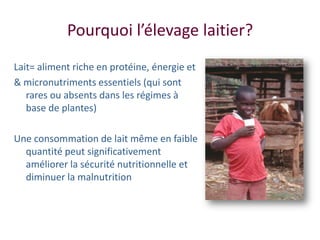 Amélioration de la sécurité alimentaire et nutritionnelle par une meilleure utilisation des races bovines laitières (pures et croisées) au Sénégal