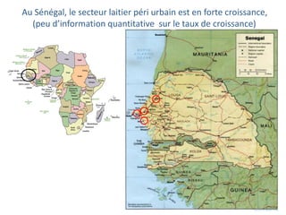 Amélioration de la sécurité alimentaire et nutritionnelle par une meilleure utilisation des races bovines laitières (pures et croisées) au Sénégal