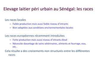 Amélioration de la sécurité alimentaire et nutritionnelle par une meilleure utilisation des races bovines laitières (pures et croisées) au Sénégal