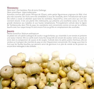 Voandzou
Nom local : Pois bambara, Pois de terre, Gadianga
Nom scientifique : Vigna subterranea
Autrefois connue dans toute l’Afrique de l’Ouest, cette petite légumineuse originaire du Mali n’est
plus très courante. Ses fruits sont très semblables à ceux de l’arachide, dont l’introduction de la part
des colons a causé un abandon quasi-total du voandzou. Aujourd’hui, rares sont ceux qui s’en sou-
viennent encore. C’est une plante très intéressante, qui présente une excellente saveur et une très
grande résistance aux maladies et aux hautes températures. Principalement cultivés dans la région
de Tambacounda, dans l’Est du pays, les voandozou sont consommés comme en-cas par les enfants,
bouillis avec leur coque lorsqu’ils sont encore frais ou grillés en remplacement des arachides.
Jakato
Nome scientifico: Solanum aethiopicum
Le jakato est une petite aubergine de couleur rouge brillante, qui ressemble à une tomate et présente
une saveur intense. Elle se cueille avant maturité, lorsqu’elle est encore de couleur verte ou jaune, et
entre dans la composition de sauces et de soupes. Cultivée dans les petits jardins familiaux, elle est
vendue sur la plupart des marchés du pays et très fréquemment consommée. On mange aussi bien le
fruit que les feuilles bouillies, qui peuvent servir de garniture à un plat de viande ou de poisson ou
encore être mélangées à des céréales.
 