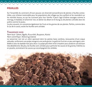 FEUILLES
Sur l’ensemble du continent africain pousse une diversité extraordinaire de plantes à feuilles comes-
tibles, une richesse inestimable pour les populations des villages qui les cueillent et les revendent sur
les marchés locaux, ou qui les cuisinent pour leur famille. Il peut s’agit d’arbres sauvages comme la
moringa, le baobab, le tamarinier noir, le dattier du désert et le leung ou de plantes cultivées dans les
jardins comme le jaxatu.
Le plus souvent, on consomme également les fruits et les graines de ces plantes. Parfois, comme dans
le cas de la cassia, seules les feuilles sont utilisées
Tamarinier noir
Nom local : Solom, Ngallu, Kuuurilahi, Buuparan, Kosito
Nom scientifique : Dialium guineense
Le tamarinier noir est un arbre spontané dont les petites baies sombres, recouvertes d’une coque
veloutée, renferment une pulpe orange et une seule graine. Le goût du fruit est un peu astringent, sem-
blable à celui du baobab mais plus doux. La pulpe peut être mise à macérer pour produire une boisson
très désaltérante. De plus, les feuilles sont utilisées pour parfumer les sauces et les graines, fraîches ou
en poudre, aromatisent les sauces qui accompagnent les céréales.
 