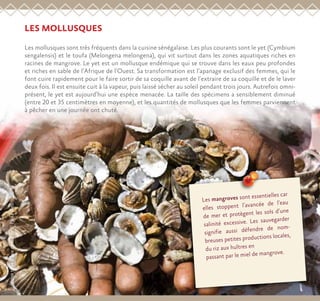 LES MOLLUSQUES
Les mollusques sont très fréquents dans la cuisine sénégalaise. Les plus courants sont le yet (Cymbium
sengalensis) et le toufa (Melongena melongena), qui vit surtout dans les zones aquatiques riches en
racines de mangrove. Le yet est un mollusque endémique qui se trouve dans les eaux peu profondes
et riches en sable de l’Afrique de l’Ouest. Sa transformation est l’apanage exclusif des femmes, qui le
font cuire rapidement pour le faire sortir de sa coquille avant de l’extraire de sa coquille et de le laver
deux fois. Il est ensuite cuit à la vapeur, puis laissé sécher au soleil pendant trois jours. Autrefois omni-
présent, le yet est aujourd’hui une espèce menacée. La taille des spécimens a sensiblement diminué
(entre 20 et 35 centimètres en moyenne), et les quantités de mollusques que les femmes parviennent
à pêcher en une journée ont chuté.
Les mangroves sont essentielles car
elles stoppent l’avancée de l’eau
de mer et protègent les sols d’une
salinité excessive. Les sauvegarder
signifie aussi défendre de nom-
breuses petites productions locales,
du riz aux huîtres en
passant par le miel de mangrove.
Imagetiréed’unephotode©PaolaViesi
 