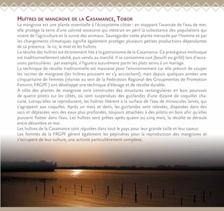 Huîtres de mangrove de la Casamance, Tobor
La mangrove est une plante essentielle à l’écosystème côtier : en stoppant l’avancée de l’eau de mer,
elle protège la terre d’une salinité excessive qui mettrait en péril la subsistance des populations qui
vivent de l’agriculture et la survie des animaux. Sauvegarder cette plante menacée par l’homme et par
les changements climatiques signifie également protéger plusieurs petites productions dépendantes
de sa présence : le riz, le miel et les huîtres.
La récolte des huîtres est étroitement liée à la gastronomie de la Casamance. Ce prestigieux mollusque
est traditionnellement séché, puis vendu au marché. Il se consomme cuit (bouilli ou grillé) lors d’occa-
sions particulières : par exemple, il figurera assurément parmi les plats servis à un mariage.
La technique de récolte traditionnelle est mauvaise pour l’environnement car elle prévoit de couper
les racines de mangrove (les huîtres poussent en s’y accrochant), mais depuis quelques années une
cinquantaine de femmes (réunies au sein de la Federation Regional des Groupmentes de Promotion
Feminin, FRGPF ) ont développé une technique d’élevage et de récolte durable.
À côte des plantes de mangrove sont construites des structures rectangulaires en bois pourvues
de quatre pilotis sur les côtés, où sont suspendues des guirlandes d’une dizaine de coquilles cha-
cune. Lorsqu’elles se reproduisent, les huîtres libèrent à la surface de l’eau de minuscules larves, qui
s’agrippent aux coquilles. Après un mois et demi, les guirlandes sont relevées, disposées dans des
sacs et déplacées vers des eaux plus profondes, toujours attachées à des pilotis en bois afin qu’elles
puissent flotter dans l’eau. Les huîtres sont prêtes après quatre ou cinq mois, la récolte se déroule
entre décembre et mai.
Les huîtres de la Casamance sont réputées dans tout le pays pour leur grande taille et leur saveur.
Les femmes de la FRGPF gèrent également les pépinières pour la reproduction des mangroves et
s’occupent de leur culture, une activité particulièrement complexe.
 