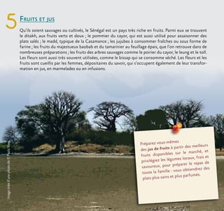 Fruits et jus
Qu’ils soient sauvages ou cultivés, le Sénégal est un pays très riche en fruits. Parmi eux se trouvent
le ditakh, aux fruits verts et doux ; le pommier du cayor, qui est aussi utilisé pour assaisonner des
plats salés ; le madd, typique de la Casamance ; les jujubes à consommer fraîches ou sous forme de
farine ; les fruits du majestueux baobab et du tamarinier au feuillage épais, que l’on retrouve dans de
nombreuses préparations ; les fruits des arbres sauvages comme le poirier du cayor, le leung et le toll.
Les fleurs sont aussi très souvent utilisées, comme le bissap qui se consomme séché. Les fleurs et les
fruits sont cueillis par les femmes, dépositaires du savoir, qui s’occupent également de leur transfor-
mation en jus, en marmelades ou en infusions.
5
Préparez vous-mêmes
des jus de fruits à partir des meilleurs
fruits disponibles sur le marché, et
privilégiez les légumes locaux, frais et
savoureux, pour préparer le repas de
toute la famille : vous obtiendrez des
plats plus sains et plus parfumés.
Imagetiréed’unephotode©PaolaViesi
 