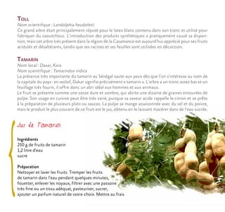 Tamarin
Nom local : Daxar, Kara
Nom scientifique : Tamarindus indica
La présence très importante du tamarin au Sénégal saute aux yeux dès que l’on s’intéresse au nom de
la capitale du pays : en wolof, Dakar signifie précisément « tamarin ». L’arbre a un tronc assez bas et un
feuillage très fourni, il offre donc un abri idéal aux hommes et aux animaux.
Le fruit se présente comme une cosse dure et sombre, qui abrite une dizaine de graines entourées de
pulpe. Son usage en cuisine peut être très varié, puisque sa saveur acide rappelle le citron et se prête
à la préparation de plusieurs plats ou sauces. La pulpe se mange assaisonnée avec du sel et du poivre,
mais le produit le plus courant de ce fruit est le jus, obtenu en le laissant macérer dans de l’eau sucrée.
Jus de Tamarin
Ingrédients
250 g de fruits de tamarin
1,2 litre d’eau
sucre
Préparation
Nettoyer et laver les fruits. Tremper les fruits
de tamarin dans l’eau pendant quelques minutes,
fouetter, enlever les noyaux, filtrer avec une passoire
très fine ou un tissu adéquat, pasteuriser, sucrer,
ajouter un parfum naturel de votre choix. Mettre au frais.
Toll
Nom scientifique : Landolphia heudoletii
Ce grand arbre était principalement réputé pour le latex blanc contenu dans son tronc et utilisé pour
fabriquer du caoutchouc. L’introduction des produits synthétiques a pratiquement causé sa dispari-
tion, mais cet arbre très présent dans la région de la Casamance est aujourd’hui apprécié pour ses fruits
acidulés et désaltérants, tandis que ses racines et ses feuilles sont utilisées en décoction.
 