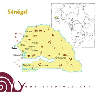 w w w . s l o w f o o d . c o m
Sénégal
St.Louis
Louga
Dakar
Diourbel
Touba
Lac Rose
Kaolack
Fatick
Fadiouth
Thies
Ziguinchar Kolda
Tambacounda
 