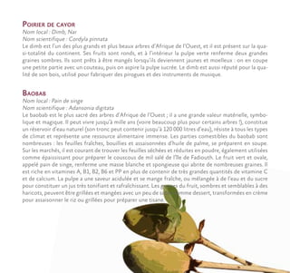 Poirier de cayor
Nom local : Dimb, Nar
Nom scientifique : Cordyla pinnata
Le dimb est l’un des plus grands et plus beaux arbres d’Afrique de l’Ouest, et il est présent sur la qua-
si-totalité du continent. Ses fruits sont ronds, et à l’intérieur la pulpe verte renferme deux grandes
graines sombres. Ils sont prêts à être mangés lorsqu’ils deviennent jaunes et moelleux : on en coupe
une petite partie avec un couteau, puis on aspire la pulpe sucrée. Le dimb est aussi réputé pour la qua-
lité de son bois, utilisé pour fabriquer des pirogues et des instruments de musique.
Baobab
Nom local : Pain de singe
Nom scientifique : Adansonia digitata
Le baobab est le plus sacré des arbres d’Afrique de l’Ouest ; il a une grande valeur matérielle, symbo-
lique et magique. Il peut vivre jusqu’à mille ans (voire beaucoup plus pour certains arbres !), constitue
un réservoir d’eau naturel (son tronc peut contenir jusqu’à 120 000 litres d’eau), résiste à tous les types
de climat et représente une ressource alimentaire immense. Les parties comestibles du baobab sont
nombreuses : les feuilles fraîches, bouillies et assaisonnées d’huile de palme, se préparent en soupe.
Sur les marchés, il est courant de trouver les feuilles séchées et réduites en poudre, également utilisées
comme épaississant pour préparer le couscous de mil salé de l’île de Fadiouth. Le fruit vert et ovale,
appelé pain de singe, renferme une masse blanche et spongieuse qui abrite de nombreuses graines. Il
est riche en vitamines A, B1, B2, B6 et PP en plus de contenir de très grandes quantités de vitamine C
et de calcium. La pulpe a une saveur acidulée et se mange fraîche, ou mélangée à de l’eau et du sucre
pour constituer un jus très tonifiant et rafraîchissant. Les graines du fruit, sombres et semblables à des
haricots, peuvent être grillées et mangées avec un peu de sucre comme dessert, transformées en crème
pour assaisonner le riz ou grillées pour préparer une tisane.
 