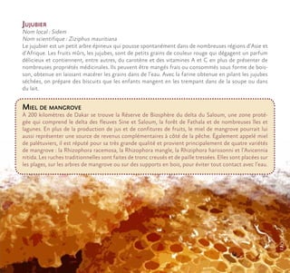 Jujubier
Nom local : Sidem
Nom scientifique : Ziziphus mauritiana
Le jujubier est un petit arbre épineux qui pousse spontanément dans de nombreuses régions d’Asie et
d’Afrique. Les fruits mûrs, les jujubes, sont de petits grains de couleur rouge qui dégagent un parfum
délicieux et contiennent, entre autres, du carotène et des vitamines A et C en plus de présenter de
nombreuses propriétés médicinales. Ils peuvent être mangés frais ou consommés sous forme de bois-
son, obtenue en laissant macérer les grains dans de l’eau. Avec la farine obtenue en pilant les jujubes
séchées, on prépare des biscuits que les enfants mangent en les trempant dans de la soupe ou dans
du lait.
Miel de mangrove
À 200 kilomètres de Dakar se trouve la Réserve de Biosphère du delta du Saloum, une zone proté-
gée qui comprend le delta des fleuves Sine et Saloum, la forêt de Fathala et de nombreuses îles et
lagunes. En plus de la production de jus et de confitures de fruits, le miel de mangrove pourrait lui
aussi représenter une source de revenus complémentaires à côté de la pêche. Également appelé miel
de palétuviers, il est réputé pour sa très grande qualité et provient principalement de quatre variétés
de mangrove : la Rhizophora racemosa, la Rhizophora mangle, la Rhiziphora harissonni et l’Avicennia
nitida. Les ruches traditionnelles sont faites de tronc creusés et de paille tressées. Elles sont placées sur
les plages, sur les arbres de mangrove ou sur des supports en bois, pour éviter tout contact avec l’eau.
FAO@Cenci
 