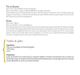Thé de Gambie
Nom local : Dute, Mbalat, Firduu, Busag, Bal
Nom scientifique : Lippia multiflora Moldenke et Lippia chevalieri
Cette herbe vivace et très parfumée se trouve dans les régions de Saloum, Niani, Tambacounda, Ké-
dougou et Casamance. L’infusions de ses fleurs et de ses feuilles se boit au petit déjeuner avec du lait,
elle favorise le sommeil et la digestion.
Guère
Nom local : Nguer
Nom scientifique : Guiera senegalensis
Cet arbuste pousse de manière spontanée dans de nombreuses régions d’Afrique de l’Ouest. Sa capa-
cité à résister à de longues périodes de sècheresse permet à cette plante de 3 ou 4 mètres de haut maxi-
mum de pousser également dans des zones semi-désertiques. Ses branches sont fines et ses feuilles
petites, ovales et vert pâle. Elles servent à préparer une tisane qui est traditionnellement considérée
comme un remède naturel contre les coups de froid et la toux.
Tisane de guère
Ingrédients
15 g, ou une poignée, de feuilles de guère
1 litre d’eau
sucre
Préparation
Laver les feuilles et les mettre dans un récipient adapté à l’infusion. Faire bouillir l’eau, la verser sur
les feuilles, laisser le récipient fermé hermétiquement pendant deux minutes, égoutter le jus de cette
tisane. Réchauffer et sucrer au moment de boire.
 