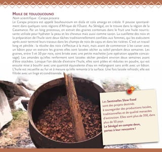 Huile de touloucouno
Nom scientifique : Carapa procera
Le Carapa procera est appelé bouhounoum en diola et cola amarga en créole. Il pousse spontané-
ment dans quelques rares régions d’Afrique de l’Ouest. Au Sénégal, on le trouve dans la région de la
Casamance. Par un long processus, on extrait des graines contenues dans le fruit une huile nourris-
sante utilisée pour hydrater la peau et les cheveux mais aussi comme savon. La cueillette des noix et
la préparation de l’huile sont deux tâches traditionnellement confiées aux femmes, qui les exécutent
après avoir terminé leurs travaux dans les champs de noix de cajou et dans les rizières. C’est un travail
long et pénible : la récolte des noix s’effectue à la main, mais avant de commencer à les casser avec
un bâton pour en extraire les graines elles sont laissées sécher au soleil pendant deux semaines. Les
graines, entre 5 et 10 par noix, sont brisée avec une petite machette (une opération appelée concas-
sage). Les amandes qu’elles renferment sont laissées sécher pendant environ deux semaines avant
d’être stockées. Lorsque l’on décide d’extraire l’huile, elles sont pilées et réduites en poudre, qui est
ensuite mise à bouillir avec une quantité équivalente d’eau en mélangeant sans arrêt avec un bâton.
L’huile est recueillie au fur et à mesure qu’elle remonte à la surface. Une fois laissée refroidir, elle est
filtrée avec un linge et conditionnée.
Les Sentinelles Slow Food
sont des projets destinés
à sauvegarder des productions locales,
traditionnelles et de qualité menacées
d’extinction. Elles sont plus de 350, dans
plus de 50 pays.
Le Sénégal en compte deux,
partez à leur rencontre !
 
