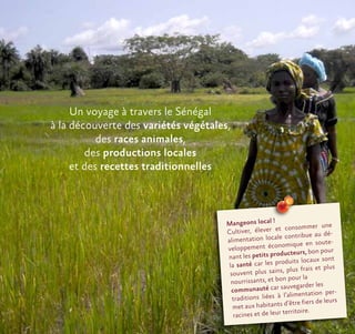 Un voyage à travers le Sénégal
à la découverte des variétés végétales,
des races animales,
des productions locales
et des recettes traditionnelles
Mangeons local !
Cultiver, élever et consommer une
alimentation locale contribue au dé-
veloppement économique en soute-
nant les petits producteurs, bon pour
la santé car les produits locaux sont
souvent plus sains, plus frais et plus
nourrissants, et bon pour la
communauté car sauvegarder les
traditions liées à l’alimentation per-
met aux habitants d’être fiers de leurs
racines et de leur territoire.
 