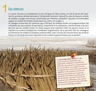 Les céréales
La savane africaine est probablement le lieu d’origine de l’être humain, et c’est là qu’ont été récol-
tées les premières céréales destinées à l’alimentation humaine. Aujourd’hui, plus de soixante variétés
de céréales sauvages sont encore consommées par l’Homme, auxquelles s’ajoutent d’innombrables
espèces et variétés de céréales domestiques (riz, fonio, mil, sorgho…).
Au Sénégal comme dans de nombreux pays d’Afrique, les céréales locales ont progressivement été
remplacées par des produits d’importation, notamment le riz pakistanais, commercialisés à des prix
plus bas que les variétés locales. Le fossé toujours plus important entre les paysans locaux et le
marché a eu comme conséquences immédiates l’augmentation de la pauvreté dans les campagnes
et l’extinction de variétés et d’espèces traditionnelles. Avec la baisse de consommation des produits
locaux, ce sont aussi des savoirs agricoles et des traditions gastronomiques qui se perdent.
1
Les Sentinelles Slow Food sont des
communautés de producteurs qui
collaborent et décident ensemble des
méthodes de production et de promotion
de leurs produits. Leur objectif est de
sauvegarder des races locales, des variétés
végétales et des produits transformés
artisanaux de qualité qui risquent de
disparaître. Ensemble, les producteurs
des Sentinelles valorisent le territoire,
préservent des méthodes et des savoirs
traditionnels, soutiennent des méthodes
de culture et d’élevage durables.
Imagetiréed’unephotode©PaolaViesi
 