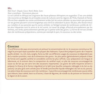 Mil
Nom local : Dugub, Gauri, Nutil, Balut, Suno
Nom scientifique : Pennisetum glaucum
Le mil cultivé en Afrique est originaire des hauts-plateaux éthiopiens et ougandais. C’est une céréale
très courante au Sénégal, les principales zones de cultures sont les régions de Thiès, Kaolack et Fatick.
Elle est bien adaptée aux zones extrêmement arides (où les autres céréales ne pourraient pas pousser)
car ses graines peuvent survivre longtemps sous terre en attendant la pluie. De plus, elle résiste mieux
aux maladies et aux parasites que les autres céréales. Le Sénégal compte de nombreuses variétés de mil :
les plus fréquentes sont le sanio et le mil sunnà. Le travail de pilage, effectué principalement par les
femmes, est rendu particulièrement pénible par la petite taille des grains. La farine de mil est utilisée
dans de nombreuses préparations, comme par exemple le pain, le couscous ou des tartes.
Couscous
À la différence des pays environnants où prévaut la consommation de riz, le couscous constitue au Sé-
négal le principal repas quotidien de la plupart des habitants. Il peut être préparé à partir de n’importe
quelle céréale : riz, mil, maïs, sorgho, fonio ou blé. Les différents usages du couscous ne dépendent pas
de la matière première, mais de la dimension des grains : les plus petits (généralement préparés à base
de fonio) sont appelés sankhal et considérés comme les plus raffinés. Leur préparation est longue et
laborieuse, et ils entrent dans la composition du sankhal royal, un plat de couscous accompagné de
sauce ou de lait qui est servi lors des occasions importantes. Les grains de taille moyenne servent à
préparer le thiacry (à la forme irrégulière) et le lakh (une bouillie compacte mélangée à du lait ou du
yaourt). Les plus gros sont utilisés pour le fondè (une bouillie liquide mélangée à du lait ou du yaourt).
Les plats à base de couscous sont très nombreux : il peut être accompagné de nombreuses sauces telles
que mboum, bassi saleté, bassi ou d’autres, à base de légumes, de viande ou de poisson en fonction de
la région et de la saison.
 