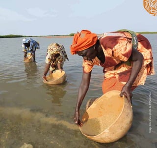 Imagetiréed’unephotode©PaolaViesi
 