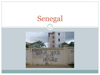Senegal
   1
 