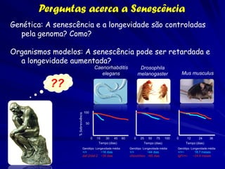 Perguntas acerca a Senescência
Biologia Comparativa: Como a Senescência e a
longevidade variam entre as espécies? Existem
...