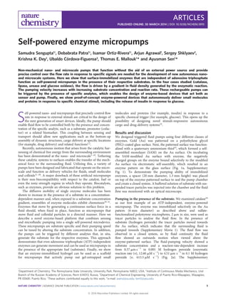 Self-powered enzyme micropumps
Samudra Sengupta1†, Debabrata Patra1†, Isamar Ortiz-Rivera1†, Arjun Agrawal1, Sergey Shklyaev2,
Krishna K. Dey1
, Ubaldo Co´rdova-Figueroa3
, Thomas E. Mallouk1
* and Ayusman Sen1
*
Non-mechanical nano- and microscale pumps that function without the aid of an external power source and provide
precise control over the ﬂow rate in response to speciﬁc signals are needed for the development of new autonomous nano-
and microscale systems. Here we show that surface-immobilized enzymes that are independent of adenosine triphosphate
function as self-powered micropumps in the presence of their respective substrates. In the four cases studied (catalase,
lipase, urease and glucose oxidase), the ﬂow is driven by a gradient in ﬂuid density generated by the enzymatic reaction.
The pumping velocity increases with increasing substrate concentration and reaction rate. These rechargeable pumps can
be triggered by the presence of speciﬁc analytes, which enables the design of enzyme-based devices that act both as
sensor and pump. Finally, we show proof-of-concept enzyme-powered devices that autonomously deliver small molecules
and proteins in response to speciﬁc chemical stimuli, including the release of insulin in response to glucose.
S
elf-powered nano- and micropumps that precisely control ﬂow
rate in response to external stimuli are critical to the design of
the next generation of smart devices. Ideally, the pump should
enable ﬂuid ﬂow to be controlled both by the presence and concen-
tration of the speciﬁc analyte, such as a substrate, promoter (cofac-
tor) or a related biomarker. This coupling between sensing and
transport should allow new applications such as the bottom-up
assembly of dynamic structures, cargo delivery at speciﬁc locations
(for example, drug delivery) and related functions1,2
.
Recently, autonomous motion that arises from the catalytic har-
nessing of chemical free energy from the surrounding environment
has been demonstrated at the nano- and microscale1–10
. Tethering
these catalytic systems to surfaces enables the transfer of the mech-
anical force to the surrounding ﬂuid. Utilizing this, a variety of
pumps have been designed and fabricated that operate on the micro-
scale and function as delivery vehicles for ﬂuids, small molecules
and colloids11–28
. A major drawback of these artiﬁcial micropumps
is their non-biocompatibility with respect to the catalyst, fuel or
even the ionic-strength regime in which they operate. Biocatalysts,
such as enzymes, provide an obvious solution to this problem.
The diffusive mobility of single enzyme molecules has been
shown to increase in the presence of a substrate in a concentration-
dependent manner and, when exposed to a substrate concentration
gradient, ensembles of enzyme molecules exhibit chemotaxis29–31
.
Enzymes that move by generating a continuous surface force in a
ﬂuid should, when ﬁxed in place, function as micropumps that
move ﬂuid and colloidal particles in a directed manner. Here we
describe a novel enzyme-based platform that combines sensing
and microﬂuidic pumping into a single self-powered microdevice.
These micropumps are substrate speciﬁc and their pumping speed
can be tuned by altering the substrate concentration. In addition,
the pumps can be triggered by different analytes that, in situ,
generate the substrate for the respective enzymes. This approach
demonstrates that even adenosine triphosphate (ATP)-independent
enzymes can generate movement and can be used as micropumps in
the presence of the appropriate fuel (substrate). Finally, we show
that an enzyme-immobilized hydrogel can be used as a scaffold
for micropumps that actively pump out gel-entrapped small
molecules and proteins (for example, insulin) in response to a
speciﬁc chemical trigger (for example, glucose). This opens up the
possibility of designing novel stimuli-responsive autonomous
cargo and drug-delivery systems32
.
Results and discussion
We designed triggered ﬂuid pumps using four different classes of
enzymes. Gold (Au) was patterned on a polyethylene glycol
(PEG)-coated glass surface. Next, the patterned surface was function-
alized with a quaternary ammonium thiol33
, which formed a self-
assembled monolayer (SAM) on the Au surface. On incubating
the SAM-modiﬁed Au surface with enzyme, the negatively
charged groups on the enzyme bound selectively to the modiﬁed
Au surface via electrostatic self-assembly, which resulted in an
enzyme pattern on the glass surface (Fig. 1a, Supplementary
Fig. 1). To demonstrate the pumping ability of immobilized
enzymes, a spacer (20 mm diameter, 1.3 mm height) was placed
on top of the enzyme-patterned surface to seal the pump chamber
and create a closed system. A buffered solution of substrate with sus-
pended tracer particles was injected into the chamber and the ﬂuid
ﬂow was monitored with an optical microscope.
Pumping in the presence of the substrate. We examined catalase34
as our ﬁrst example of an ATP-independent, enzyme-powered
micropump. The enzyme was immobilized selectively on the Au
pattern (6 mm diameter) as described above and sulfate-
functionalized polystyrene microspheres, 2 mm in size, were used as
tracer particles to analyse the ﬂuid ﬂow. In the presence of
substrate (hydrogen peroxide) the tracer particles moved towards
the Au surface, which indicates that the surrounding ﬂuid is
pumped inwards (Supplementary Movie 1). The ﬂuid ﬂow was
observed in a closed system, so by ﬂuid continuity the ﬂuid
ﬂow showed an outwards motion when viewed above the
enzyme-patterned surface. The ﬂuid-pumping velocity showed a
substrate concentration and a reaction-rate-dependent increase
from 0.37 mm s21
in 0.001 M hydrogen peroxide (enzymatic
reaction rate (n), 12.60 mM s21
) to 4.51 mm s21
in 0.1 M hydrogen
peroxide (n, 613.5 mM s21
) (Fig. 2a). The Supplementary
1
Department of Chemistry, The Pennsylvania State University, University Park, Pennsylvania 16802, USA, 2
Institute of Continuous Media Mechanics, Ural
Branch of the Russian Academy of Sciences, Perm 614013, Russia, 3
Department of Chemical Engineering, University of Puerto Rico-Mayagu¨ez, Mayagu¨ez,
PR 00681, Puerto Rico; †
These authors contributed equally to this work. *e-mail: asen@psu.edu; tem5@psu.edu
ARTICLES
PUBLISHED ONLINE: 30 MARCH 2014 | DOI: 10.1038/NCHEM.1895
NATURE CHEMISTRY | ADVANCE ONLINE PUBLICATION | www.nature.com/naturechemistry 1
© 2014 Macmillan Publishers Limited. All rights reserved.
 