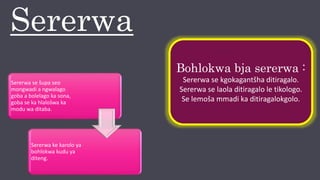SENGWALWA[1] - Read-Only[1] final.pptx