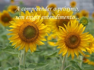 A compreender o próximo,
sem exigir entendimento...
 