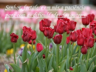 Senhor, fortalece em nós,a paciência
para com as dificuldades dos outros,
 