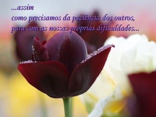 ...assim
como precisamos da paciência dos outros,
para com as nossas próprias dificuldades...
 