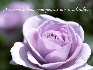 A semear o bem, sem pensar nos resultados...
 