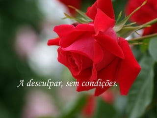 A desculpar, sem condições.
 