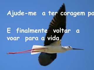 Ajude-me a ter coragem pa

E finalmente voltar a
voar para a vida.
 
