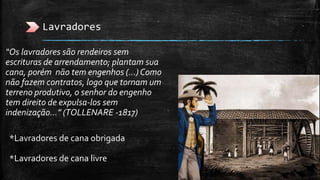 Lavradores
“Os lavradores são rendeiros sem
escrituras de arrendamento; plantam sua
cana, porém não tem engenhos (...) Como
não fazem contratos, logo que tornam um
terreno produtivo, o senhor do engenho
tem direito de expulsa-los sem
indenização...” (TOLLENARE -1817)
*Lavradores de cana obrigada
*Lavradores de cana livre
 