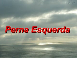 Perna Esquerda