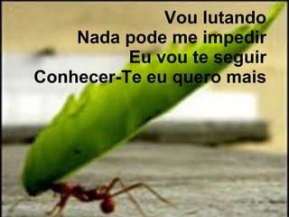 Vou lutando  Nada pode me impedir  Eu vou te seguir  Conhecer-Te eu quero mais  