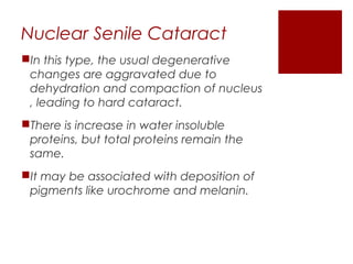 Nuclear Senile Cataract
In this type, the usual degenerative
changes are aggravated due to
dehydration and compaction of nucleus
, leading to hard cataract.
There is increase in water insoluble
proteins, but total proteins remain the
same.
It may be associated with deposition of
pigments like urochrome and melanin.
 