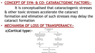 • CONCEPT OF SYN- & CO- CATARACTGENIC FACTORS:-
It is conceptualised that cataractogenic stresses
& other toxic stresses accelerate the cataract
formation and elimation of such stresses may delay the
cataract formation
• MECHANISM OF LOSS OF TRANSPERANCY:-
a)Cortical type:-
 