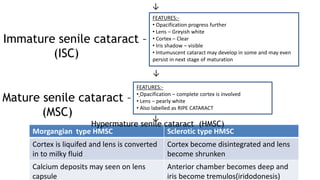 ↓
Immature senile cataract –
(ISC)
FEATURES:-
• Opacification progress further
• Lens – Greyish white
• Cortex – Clear
• Iris shadow – visible
• Intumuscent cataract may develop in some and may even
persist in next stage of maturation
↓
Mature senile cataract –
(MSC)
FEATURES:-
• Opacification – complete cortex is involved
• Lens – pearly white
• Also labelled as RIPE CATARACT
↓
Morgangian type HMSC Sclerotic type HMSC
Cortex is liquifed and lens is converted
in to milky fluid
Cortex become disintegrated and lens
become shrunken
Calcium deposits may seen on lens
capsule
Anterior chamber becomes deep and
iris become tremulos(iridodonesis)
Hypermature senile cataract (HMSC)
 
