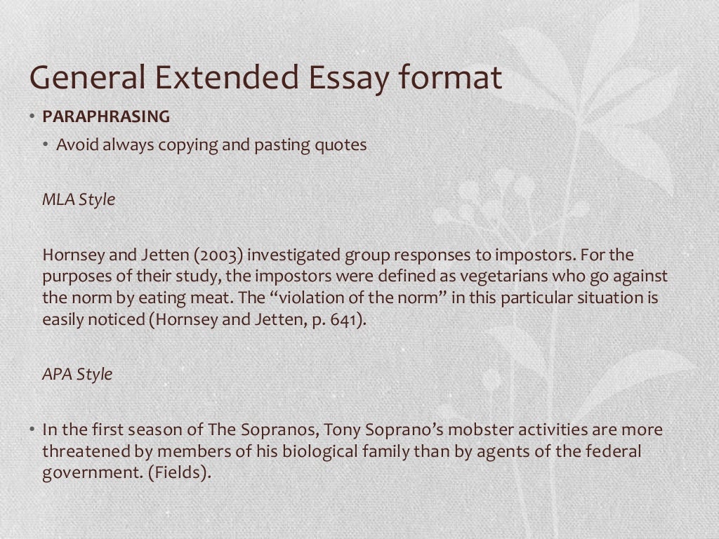 Free ib workshops image