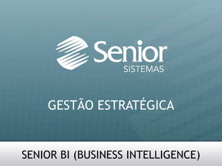 GESTÃO ESTRATÉGICA SENIOR BI (BUSINESS INTELLIGENCE) 