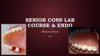 SENIOR CONS LAB
COURSE & ENDO
Mateena Rauf
4.5
 