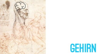 GEHIRN
 