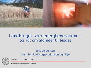 Landbruget som energileverandør – og lidt om afgrøder til biogas Uffe Jørgensen Inst. for Jordbrugsproduktion og Miljø 