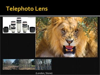 Telephoto Lens (London, Stone) 