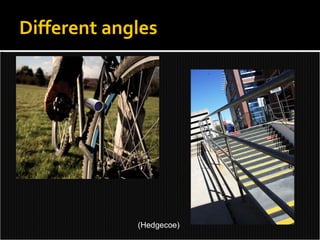 Different angles (Hedgecoe) 