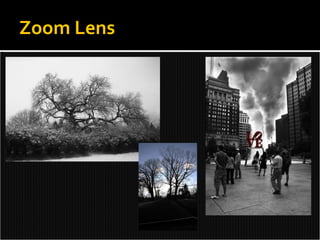Zoom Lens 