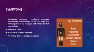 SYMPTOMS 
• Hantavirus pulmonary syndrome advances 
through two distinct stages. In the first stage, you 
may experience flu-like signs and symptoms that 
may include 
• Fever and chills 
• Headaches and muscle aches 
• Vomiting, diarrhea or abdominal pain 
 