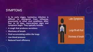 SYMPTOMS 
• In its early stages, hantavirus infection is 
difficult to distinguish from influenza, 
pneumonia or other viral conditions. After 
four to 10 days, more-serious signs and 
symptoms begin. They typically include: 
• A cough that produces secretions 
• Shortness of breath 
• Fluid accumulating within the lungs 
• Low blood pressure 
• Reduced heart efficiency 
 
