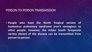 PERSON-TO-PERSON TRANSMISSION 
• People who have the North Tropical version of 
huntavirus pulmonary syndrome aren't contagious to 
other people. However, the milder South Temperate 
variety (Asian) of the disease can be transmitted from 
person to person. 
 