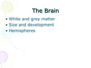 The Brain White and grey matter Size and development Hemispheres 