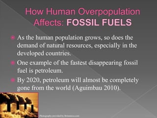 How Human Overpopulation Affects: FOSSIL FUELSAs the human population grows, so does the demand of natural resources, especially in the developed countries. One example of the fastest disappearing fossil fuel is petroleum. By 2020, petroleum will almost be completely gone from the world(Aguimbau 2010).Photography provided by Britannica.com