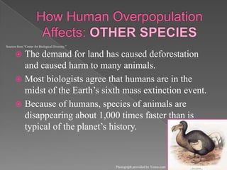 How Human Overpopulation Affects: OTHER SPECIESThe demand for land has caused deforestation and caused harm to many animals.Most biologists agree that humans are in the midst of the Earth’s sixth mass extinction event.Because of humans, species of animals are disappearing about 1,000 times faster than is typical of the planet’s history. Sources from “Center for Biological Diversity.”Photograph provided by Yenra.com