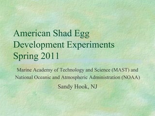 American Shad Egg
Development Experiments
Spring 2011
Marine Academy of Technology and Science (MAST) and
National Oceanic and Atmospheric Administration (NOAA)
                  Sandy Hook, NJ
 